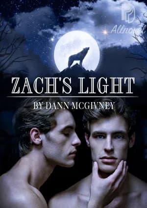 Zach's Light (completed)