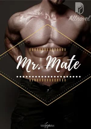Mr. Mate